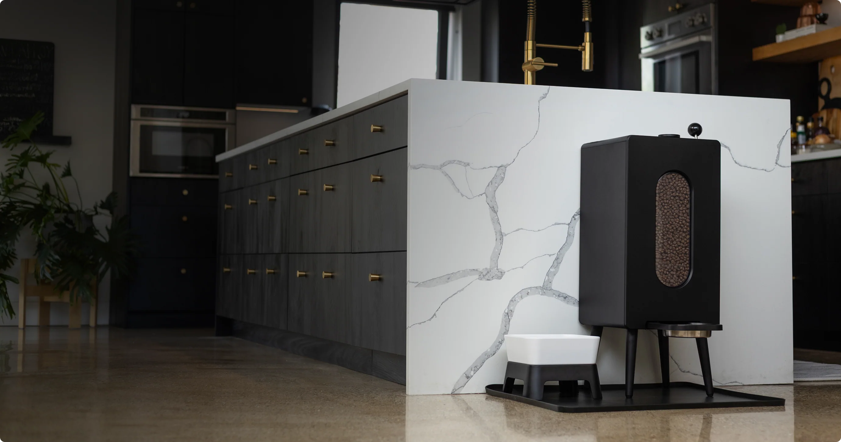 Elevated Design for Every Meal